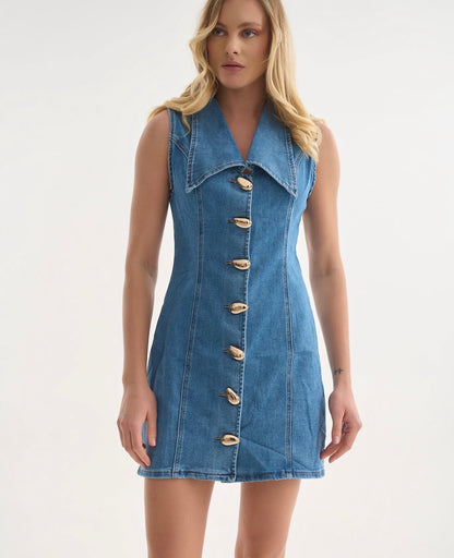Joleen denim dress