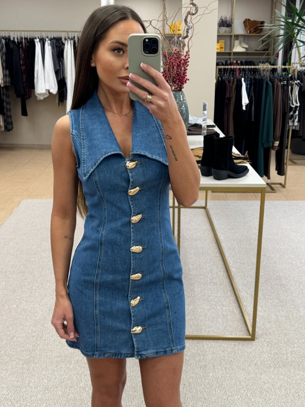 Joleen denim dress