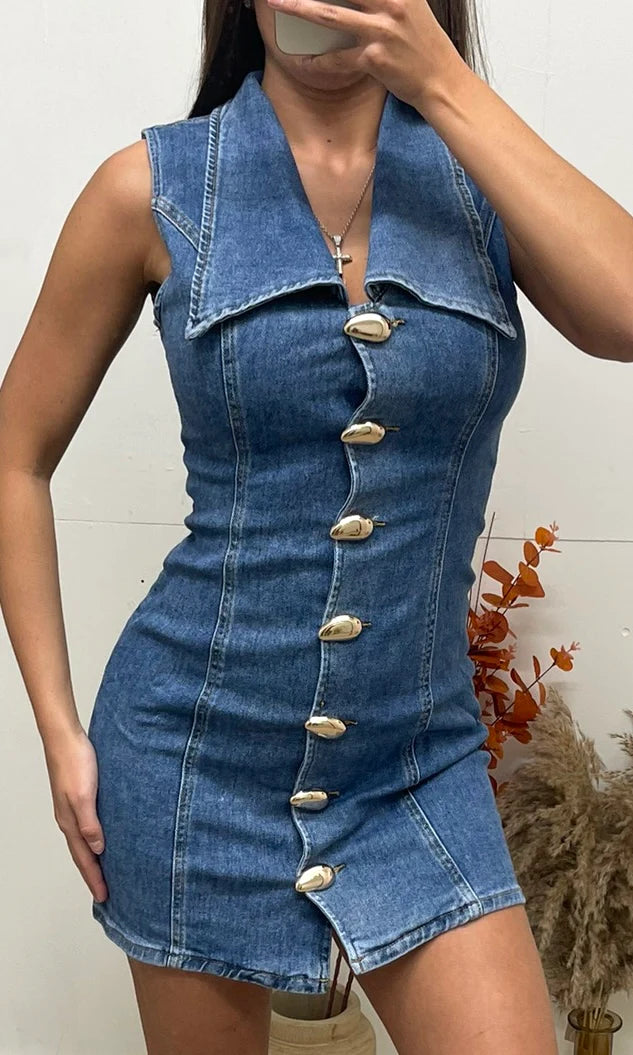 Joleen denim dress